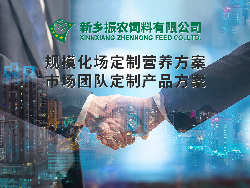 規(guī)?；喼?>
                          </div>
                          <div   id=